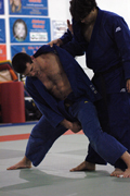 DSC_3964.JPG