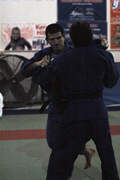 DSC_3985.JPG