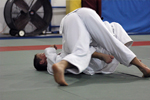 DSC_4007.JPG