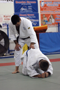 DSC_4010.JPG