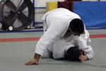 DSC_4025.JPG
