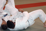 DSC_4116.JPG